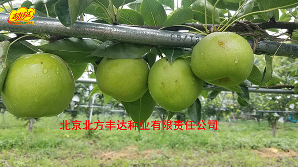 �������������ҵ���޹�˾